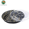 Food grade disposable plastic big sushi serving tray